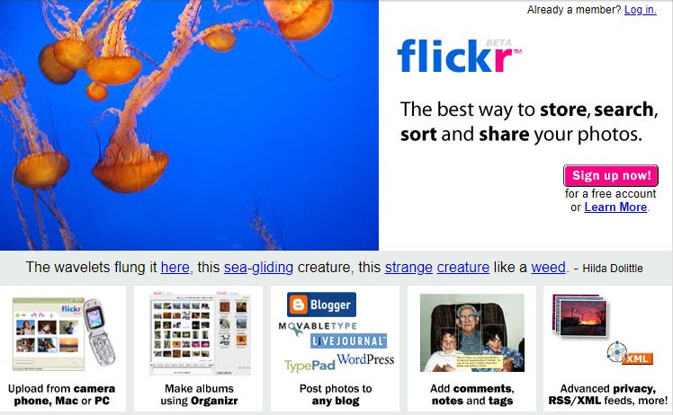 flickr original website