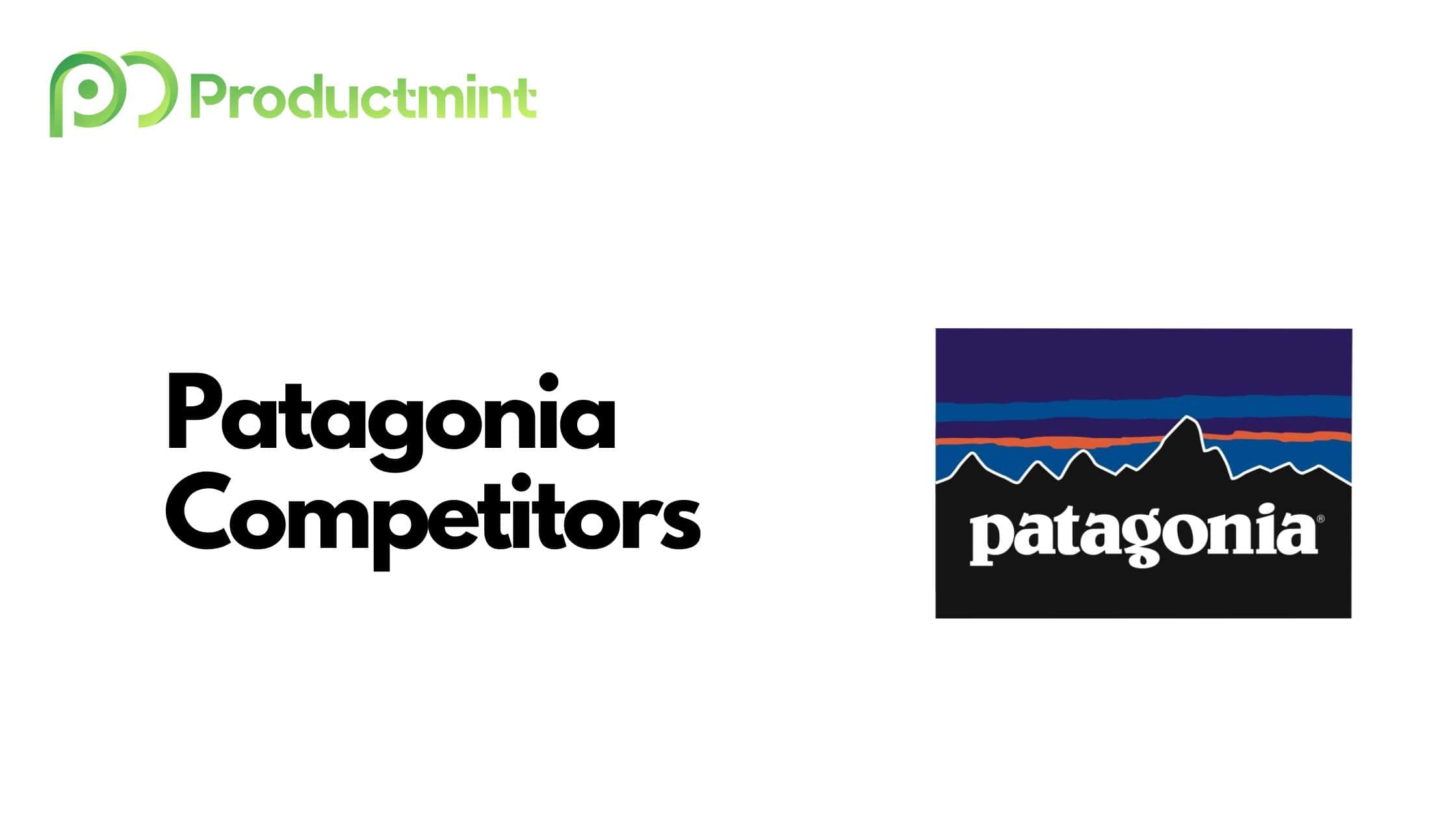 Patagonia Competitors